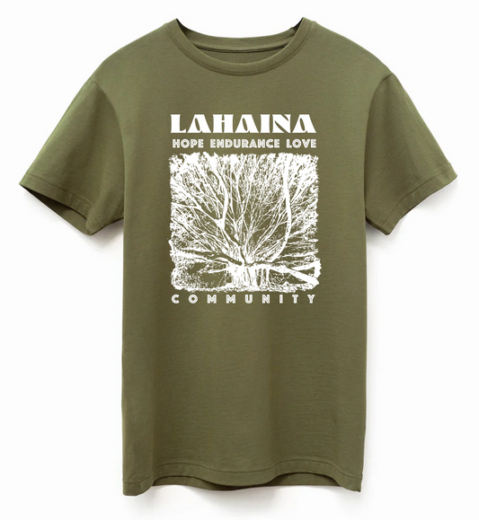 Lahaina Superior Pima T-Shirts